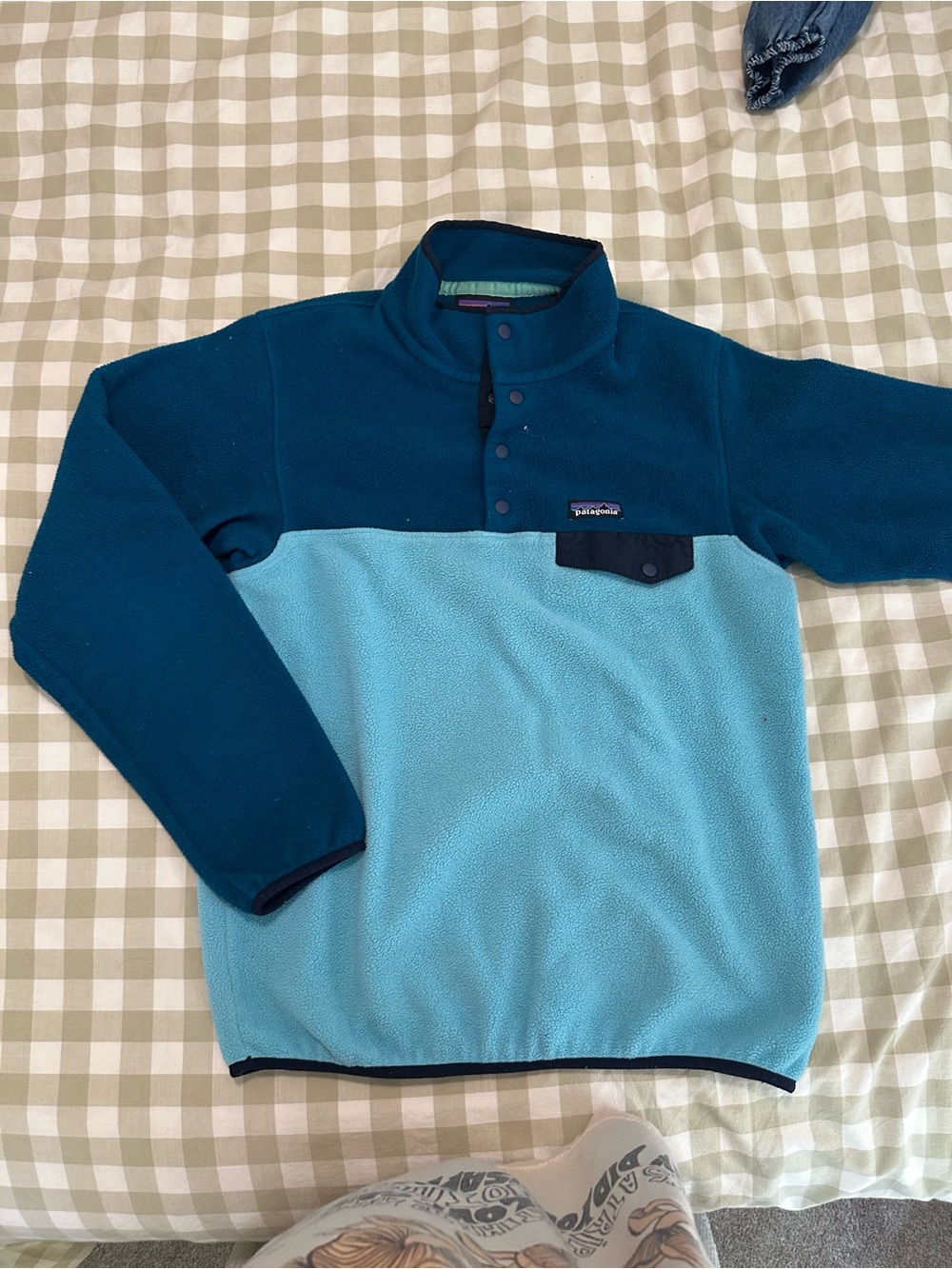 Patagonia Teal and Aqua Synchilla Fleece Pullover